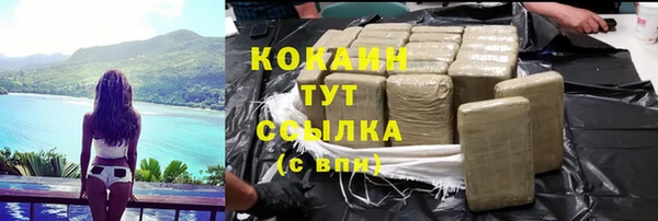 индика Алзамай