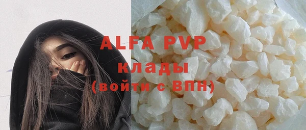 индика Алзамай
