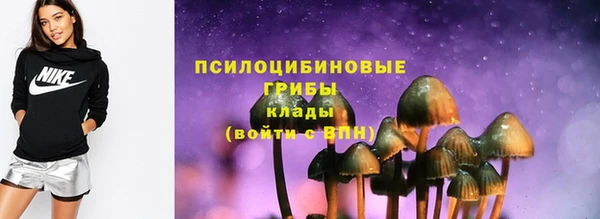 индика Алзамай