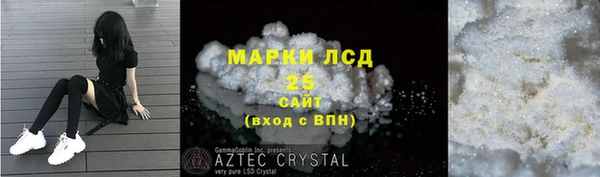 индика Алзамай