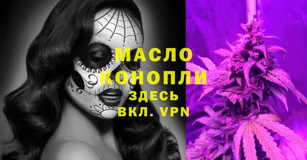 СК Алексин