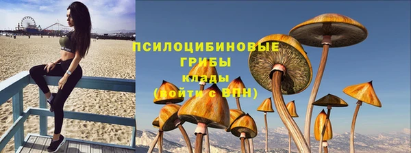 индика Алзамай